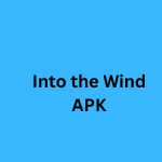 Into the Wind